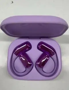 AI translator earbuds Georg Werner