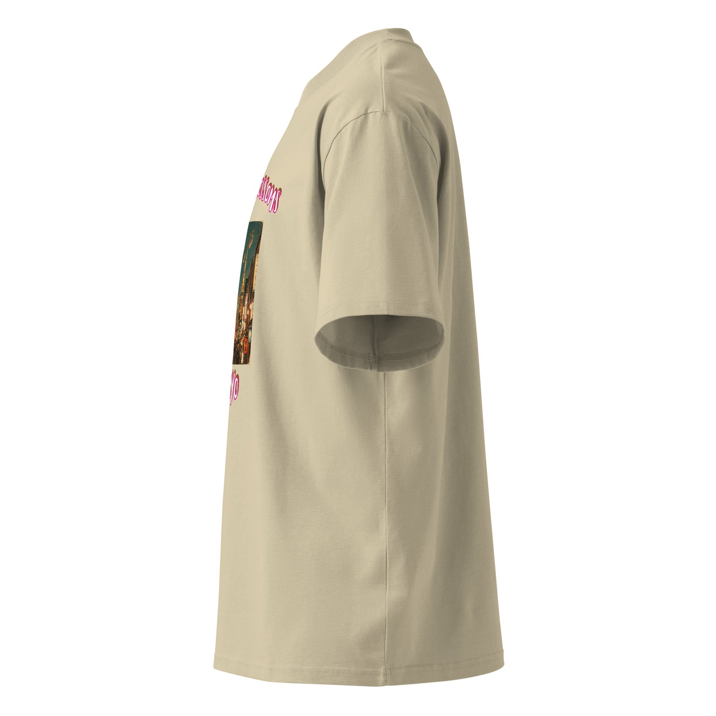 Oversized T-shirt in stone, side view with sleeve artwork detail